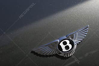 Bentley Motors logo on green sport car