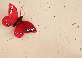 Butterfly and paper background
