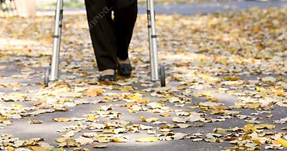 Senior woman legs walking with walker in autumn park