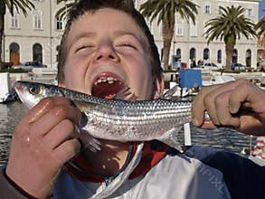 Shark boy with the double rows of teeth