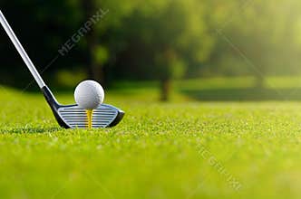 Let`s golf today