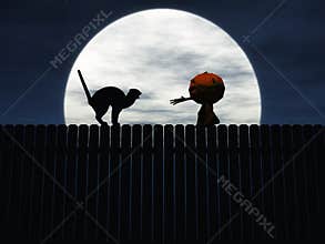 Halloween pumpkin trying to catch angry cat.