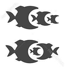 Predatory fish
