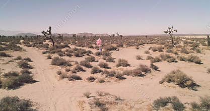 A girl with balloons walking in the desert Lake El Mirage. Aerial Drone. October 2017
