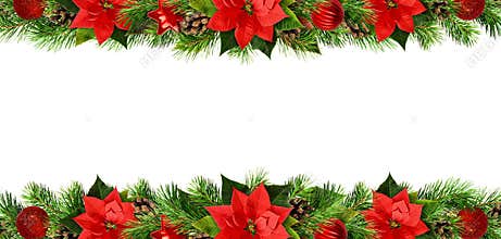 Christmas borders with red pionsettia flowers, pine twigs and de