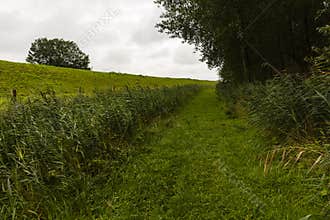 Hiking the GR5 trail in the Benelux