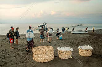Karangasem, Bali, Indonesia. Local folk on black beach volcanic sand carries livestock boarding by ferry to opposite Lombok Island