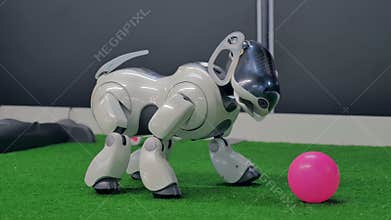 Cheboksary, Russia - September 26, 2017: City of robots. Robot-dog at the exhibition. Interactive intelligent pet.