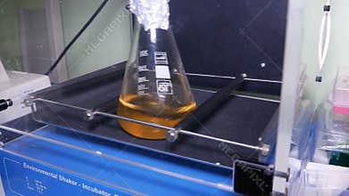 Flask in thermostat with shaker