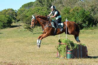Horse and rider jumping