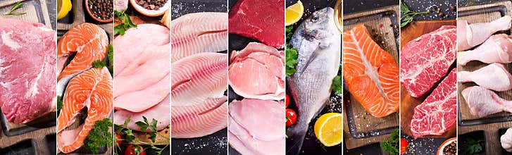 Food collage of various fresh meat, chicken and fish