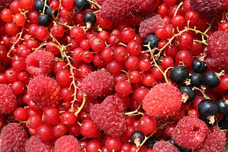 Assorted fruits