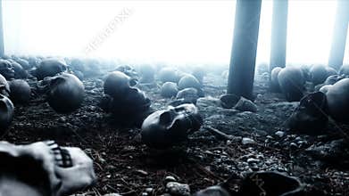 Scary old skulls in fog night forest. Fear and horror. Mistic and apocalypse concept. Realistic 4K animation.