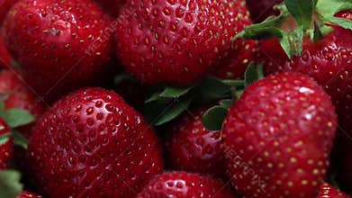 Red organic ripe strawberry. Strawberry on green background. Best red strawberry background. Fresh strawberries.