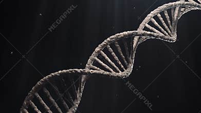 Structure Molecules DNK rotate loop