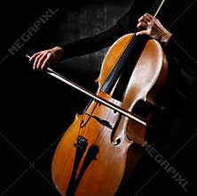 Cello musician