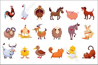 Set of farm animals. Livestock and poultry. Various domestic birds, horses, pig, rabbit, sheep, cats and dogs. Colorful