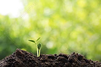 Csr earth ecology environment save world concept