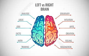 Creative part and logic brain part vector illustration