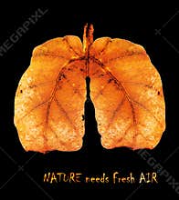 Lungs