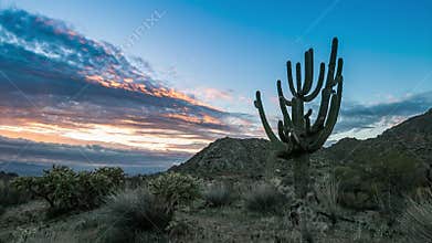 Early morning Arizona sunrise time lapse with Saguaro cactus
