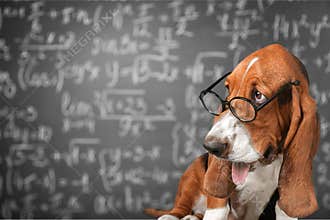 Math