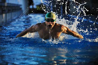 Swimmer