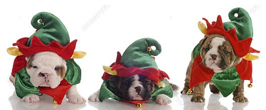 Santas little helpers