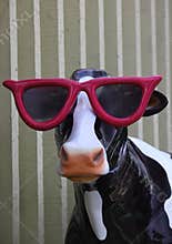 Cow