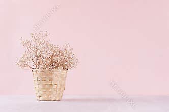 Small white dried flowers in beige wicker basket on soft pink pastel background. Fresh light gentle background.