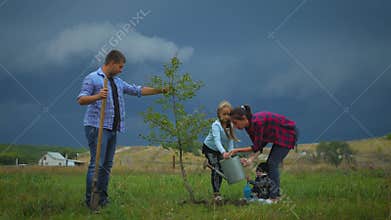 Family of four planting a new tree in his garden. The concept is to plant trees, a friendly family.