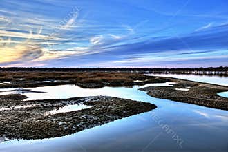 Oyster beds and harbor hdr