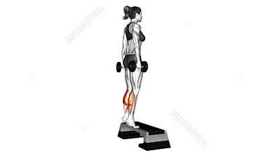 Dumbbell Standing Calf Raise exercise