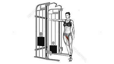 Cable Hip Adduction exercise