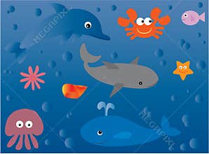 Marine life