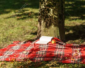 Book and apple on a blanket under the tree in the park.