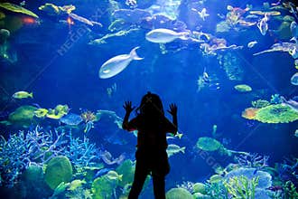 Kids look up on underwater aquarium