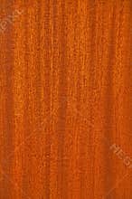 Background wooden.Interior Design. Background wooden.
