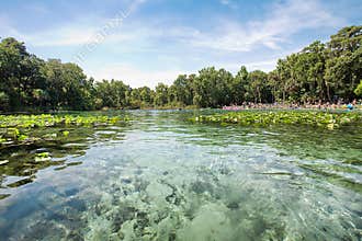 Alexander Springs Recreational Area, Ocala