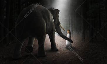 Surreal Elephant, Girl, Friends, Love, Nature