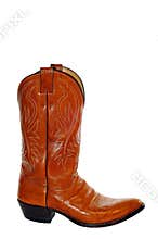 Cowboy Boot