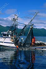 Commercial Salmon Fishing