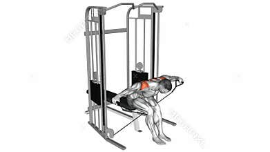 Cable Seated Rear Lateral Raise exercise
