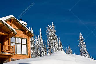 Winter chalet