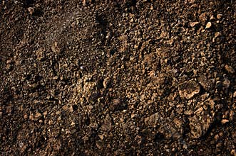 Dirt texture
