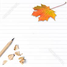 Exercise book page autumn maple leaf School background