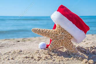 Beach starfish with Christmas hat