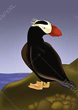 Bird with a red beak