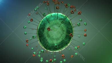 Animation footage of green colored round and half transparent virus cell with green and red tentacles