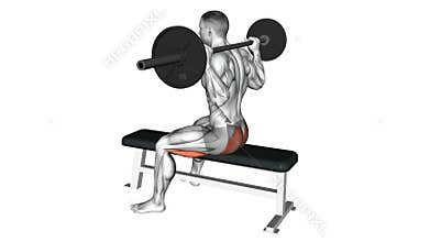 Barbell seated good morning exercise